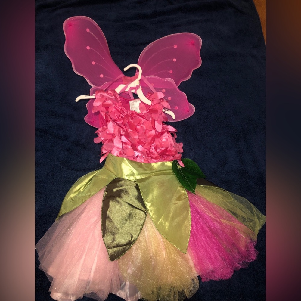 Fairy Costume With Wings Girls Size 4